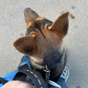 Meet your Posher, Layla